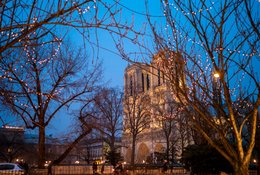 Apse;-Cathedral;-Dusk;-Fairy-lights;-Historic-monument;-Kaleidos;-Kaleidos-images;-La-parole-à-limage;-Night-sky;-Notre-Dame-Cathedral;-Notre-Dame-de-Paris;-Paris;-Passers-by;-Places-of-worship;-Square-René-Viviani;-Stories-Pictures;-Tarek-Charara;-Towers;-Trees;-Viollet-le-Duc